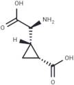 L-CCG-lll