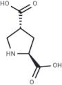 L-trans-2,4-PDC