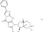 Rp-8-Br-PET-cGMPS