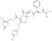 Cefcanel daloxate