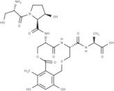 Cyclothialidine