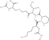 Matlystatin A