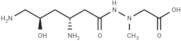 Negamycin