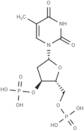 Thymidine 3',5'-disphosphate