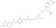 Thermopterin