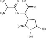 Alahopcin