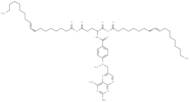 Dioleoylmethotrexate