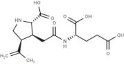 γ-Kainylglutamic acid