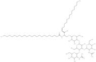 Lactogangliotetraosylceramide