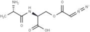 LL D05139(β)