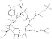 Micropeptin 478A