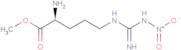 NG-Nitroarginine methyl ester