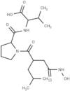 Propioxatin B