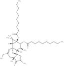 4α-PDD