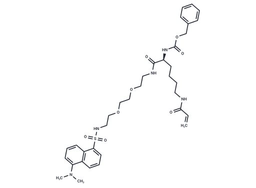 NC9 TG2 inhibitor