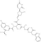 Pacidamycin I