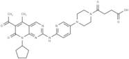 Palbociclib-Succinic acid