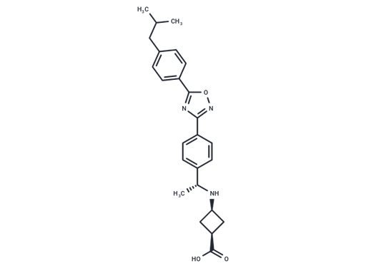 PF-462991