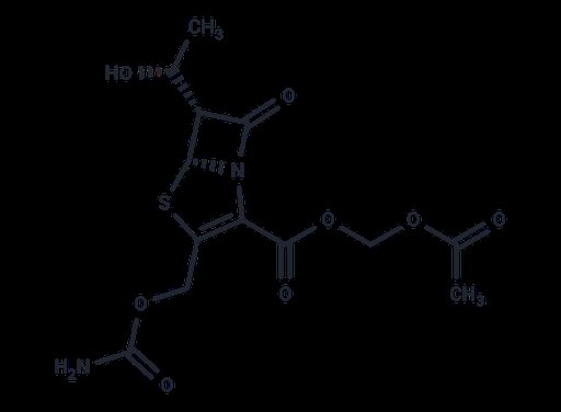 Ritipenem Acoxil