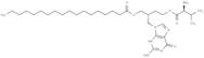 Valomaciclovir stearate