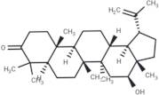 16-Hydroxylup-20(29)-en-3-one