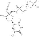 4'-Azidothymidine 5'-triphosphate