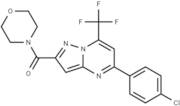 Acetamide, N-(5-amino-2-(octyloxy)benzyl)-