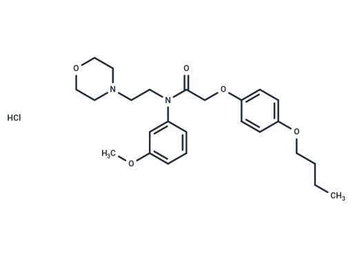Acetamide, N-(m-anisyl)-2-(p-butoxyphenoxy)-N-(2-morpholinoethyl)-, hydrochloride