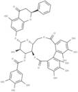 Pinocembrin 7-O-[3''-O-galloyl-4'',6''-hexahydroxydiphenoyl]-β-D-glucoside