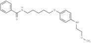 Benzamide, N-(5-(p-((2-methoxyethyl)amino)phenoxy)pentyl)-