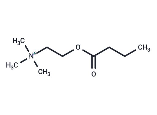Butyrylcholine