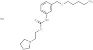 Carbanilic acid, m-((pentyloxy)methyl)-, 2-(1-pyrrolidinyl)ethyl ester, hydrochloride