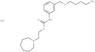 Carbanilic acid, m-((pentyloxy)methyl)-, 2-(hexahydro-1H-azepin-1-yl)ethyl ester, hydrochloride