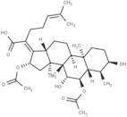 Cephalosporin P1