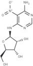 Clitocine