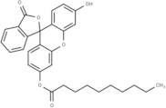 Decanoyl fluorescein