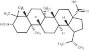 Dihydrobetulinic acid