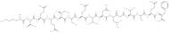 β-Secretase inhibitor-STA