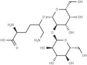 Glucosylgalactosylhydroxylysine