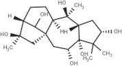 Grayanotoxin III
