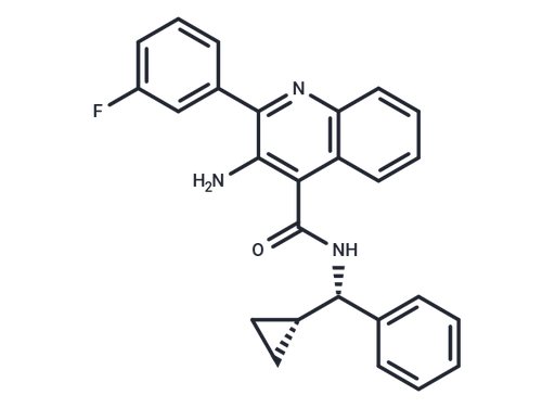 GSK172981
