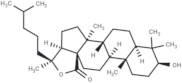 Holostanol