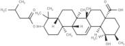 Lantaiursolic acid