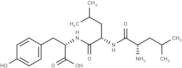 Leucyl-leucyl-tyrosine