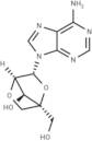 LNA-Adenosine