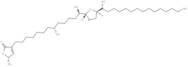 Longicoricin