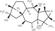 Lyoniol B