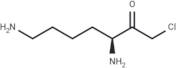 Lysine chloromethyl ketone