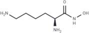 Lysine hydroxamate