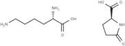 Lysine PCA